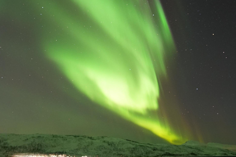 Tromsø: English/Spanish Aurora Pathfinder Tour with Photos Tromsø: English/Spanish Aurora Hunting Private Minibus Tour