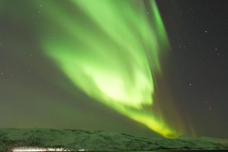 Tromsø: English/Spanish Aurora Pathfinder Tour with Photos Tromsø: English/Spanish Aurora Hunting Private Minibus Tour