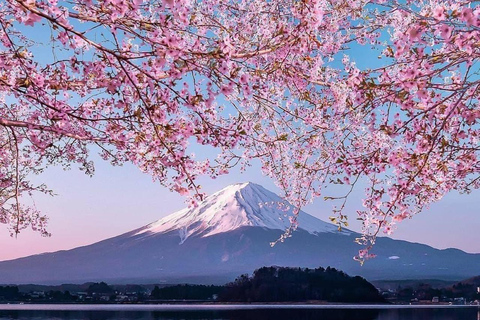 Tokyo: Private Daytrip to Mount Fuji - Fully Customizable Mt Fuji Private Luxury Van Tour (Customizable Experience)