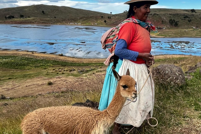 Puno: Sillustani Tombs, Bike Tour - History and Nature