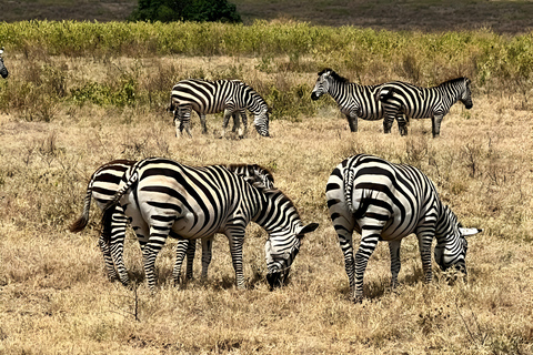 Zanzibar: 3-dagars safariäventyr till Mikumi nationalpark