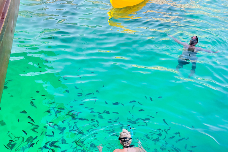 Dubai To Khasab Dhow Cruise with Snorkeling and Lunch