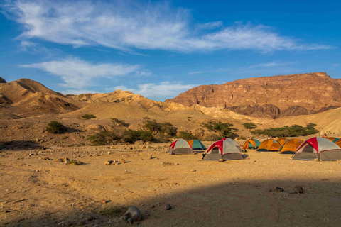 Petra to Wadi Rum Hiking Tour (7 Days) | All-Inclusive