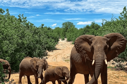 Safari de 3 días en Chobe con paseos en barco y safarisSafari de 3 días por Chobe con paseos en barco y safaris en vehículo