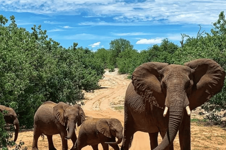 Safari de 3 días en Chobe con paseos en barco y safarisSafari de 3 días por Chobe con paseos en barco y safaris en vehículo