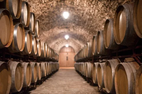 Barcelona: Tour Luxury, Buggy Route, Almuerzo & Vinos Penedes