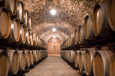 Da Salou: tour degli ulivi e del vino del Priorat