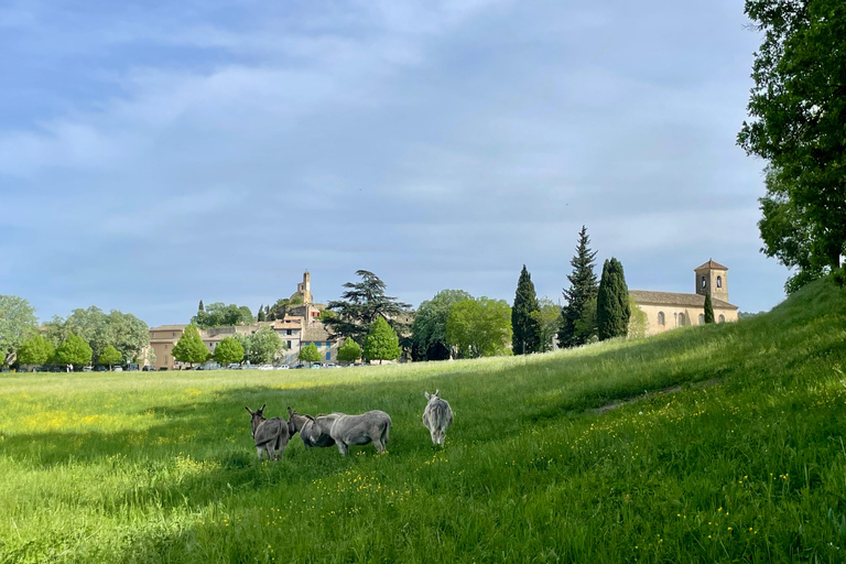 From Aix-en-Provence: Luberon Villages Discovery Day Trip