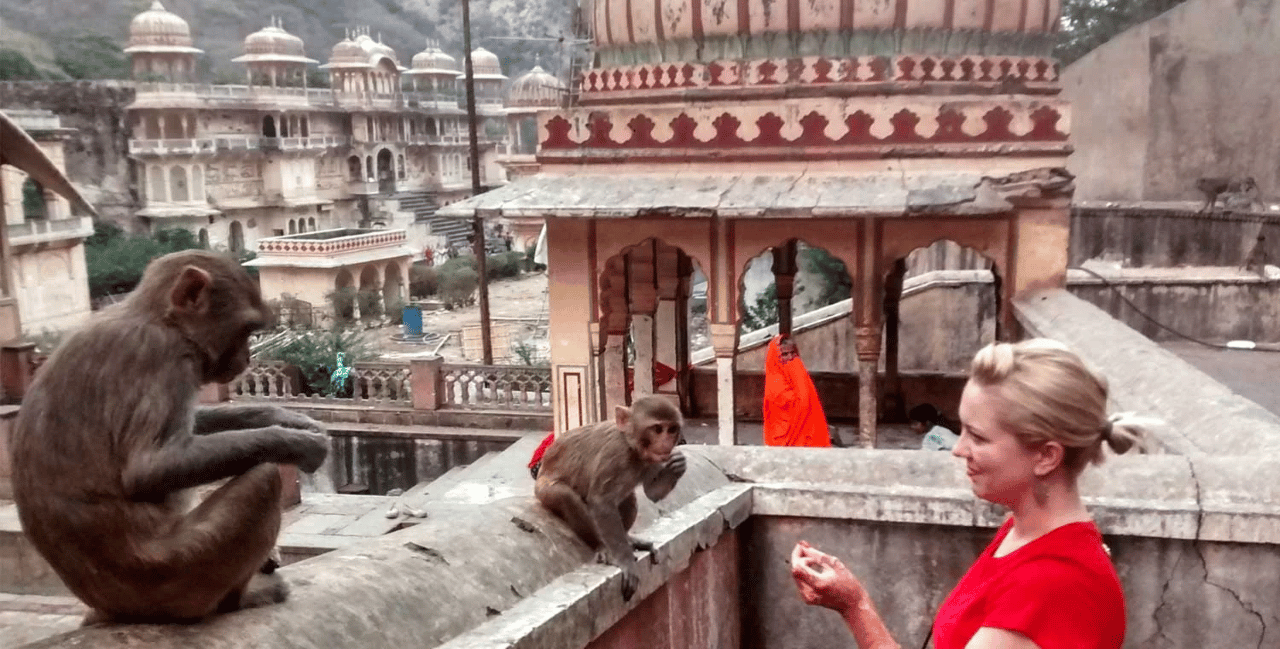 Jaipur: Blumenmarkt-Tour, Affentempel, lokales Frühstück