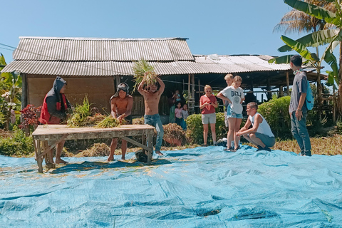 特特巴图：瀑布、香料、梯田、猴子森林特特巴图之旅、香料、瀑布、梯田、猴林