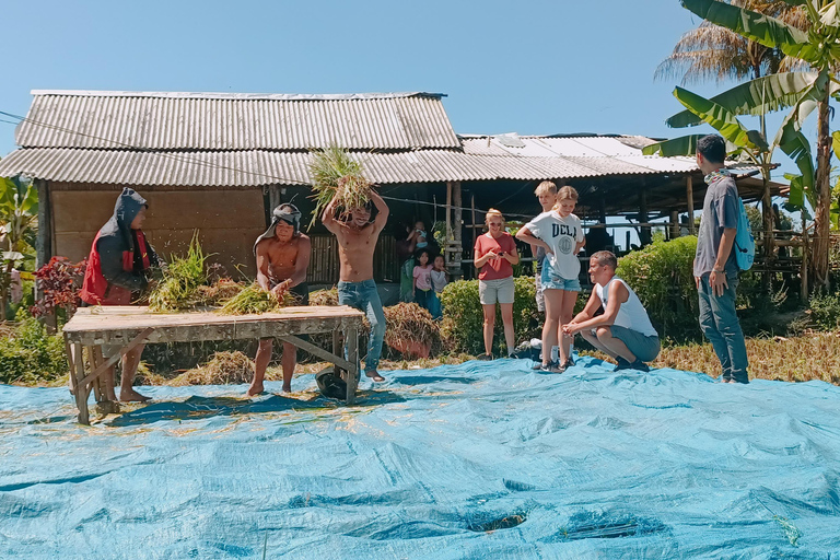 特特巴图：瀑布、香料、梯田、猴子森林特特巴图之旅、香料、瀑布、梯田、猴林
