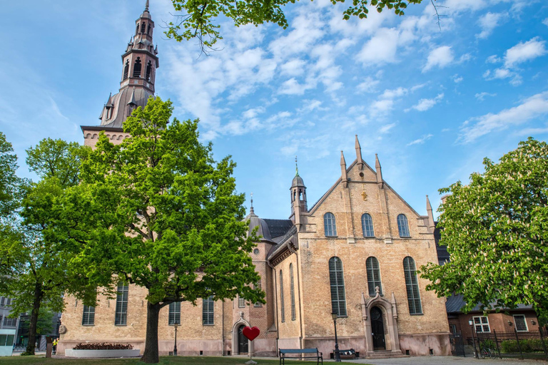 Oslo Old Town Highlights Private Guided Walking Tour 4-hour: Old Town, Oslo Cathedral & National Museum Tour