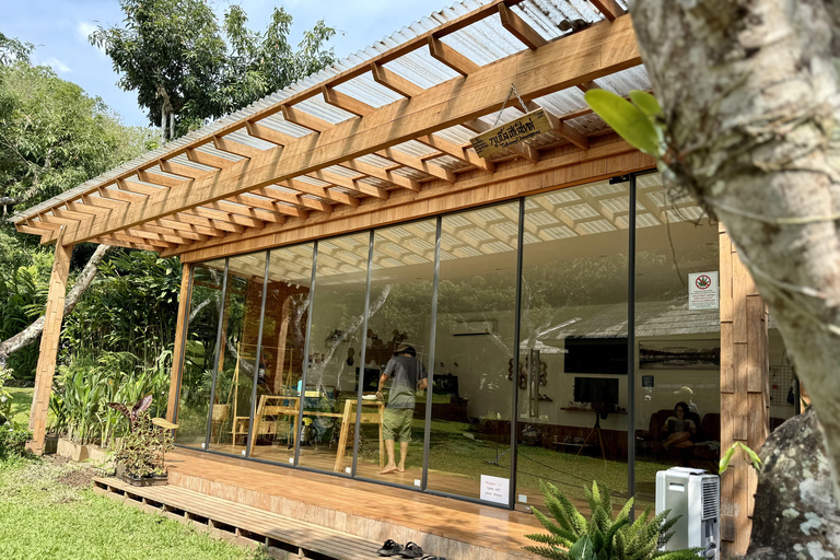 مغامرة شيانغ ماي ليوم كامل: المشي لمسافات طويلة، والتزحلق على الأنابيب، ومشاهدة الفيلةالرحلات، وا