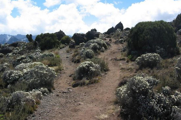 Arusha: 7-Day Mount Kilimanjaro Machame Route Trek