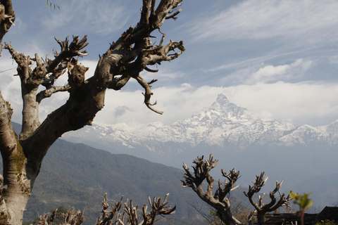 Desde Katmandú: Senderismo de 7 días por el Valle de Langtang