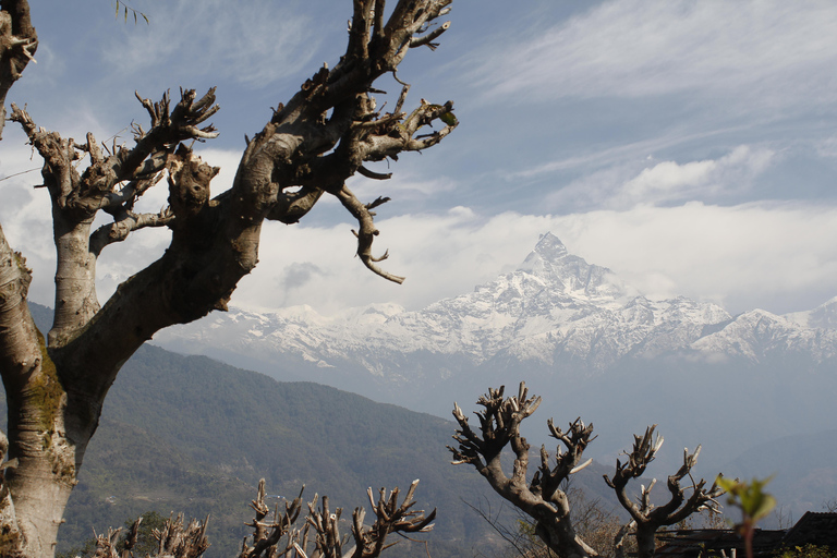 Desde Katmandú: Senderismo de 7 días por el Valle de Langtang