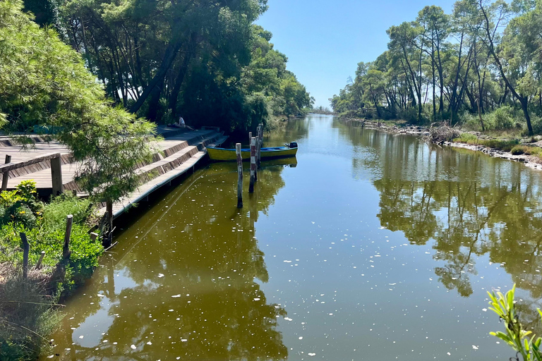 تيرانا: رحلة ليوم واحد إلى أبولونيا وبحيرة كارافاستا مع الغداء