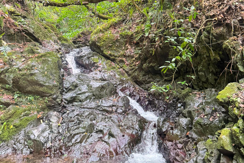 Tokyo: Mt. Fuji Customizable & Private Tour With Chauffeur Tokyo: Mt. Fuji Customizable & Private Tour With Chauffeur