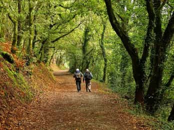 From Tui: 9-Day Guided Camino Walking Tour to Santiago