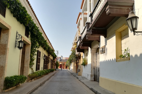 Cartagena: Tour guidato a piedi privato con guida italiana o tedesca