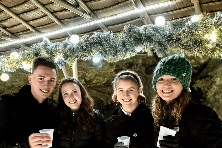 Portland, Oregon: rejs z paradą świątecznych statków (2 godz.)2-godzinne rejsy świątecznymi statkami w stylu wyspiarskim