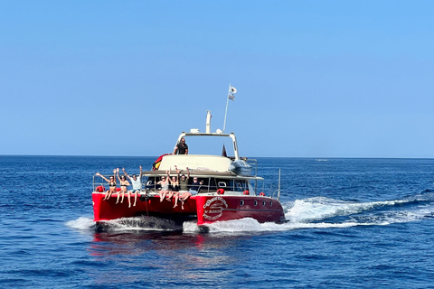 Passeio de catamarã pelas ilhas Lavezzi