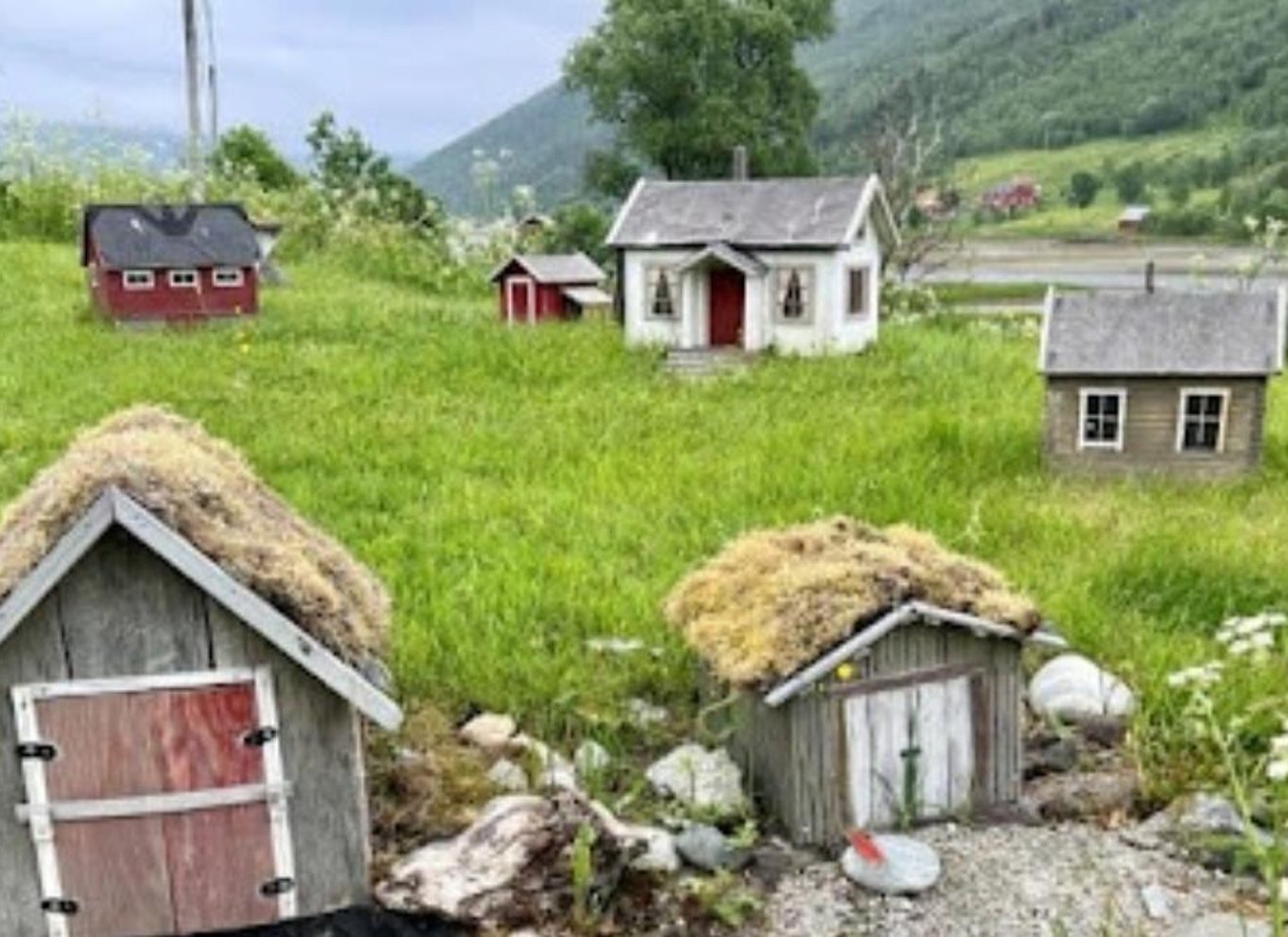 Tromsø: Fjord- og Sommarøy-tur med laksepicnic