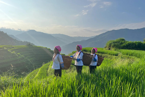 Guilin: 1-Day Cultural Hike of Longji & Ancient Tea Tasting