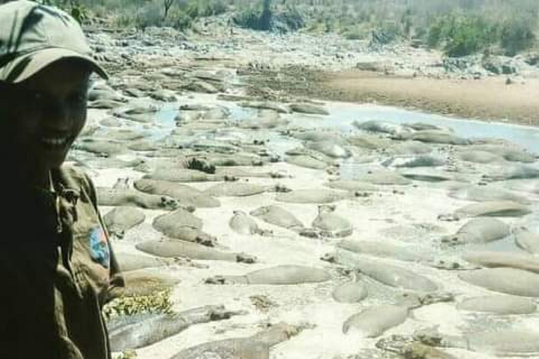 Safári de 5 dias em Tarangire, Serengeti, Ngorongoro e Manyara