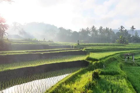 Bali:Sidemen tour guide