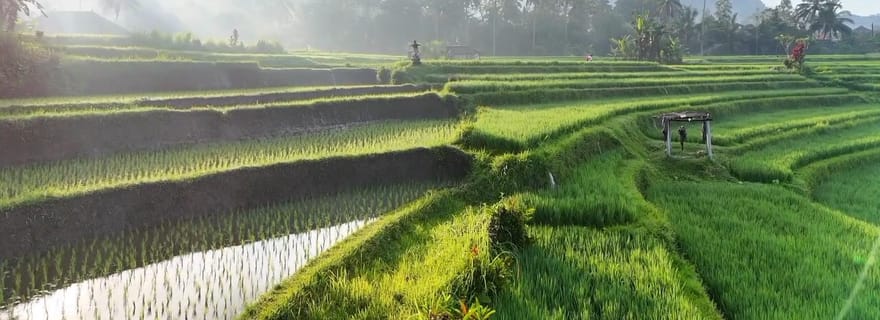 Randonnée dans les rizières en terrasses de Sidemen et promenade dans un village local
