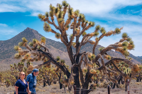 Visite privative : Grand Canyon et barrage Hoover depuis Las VegasGrand Canyon &amp; Hoover Dam: Private Tour from Las Vegas
