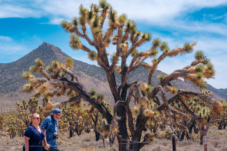 Visite privative : Grand Canyon et barrage Hoover depuis Las VegasGrand Canyon &amp; Hoover Dam: Private Tour from Las Vegas