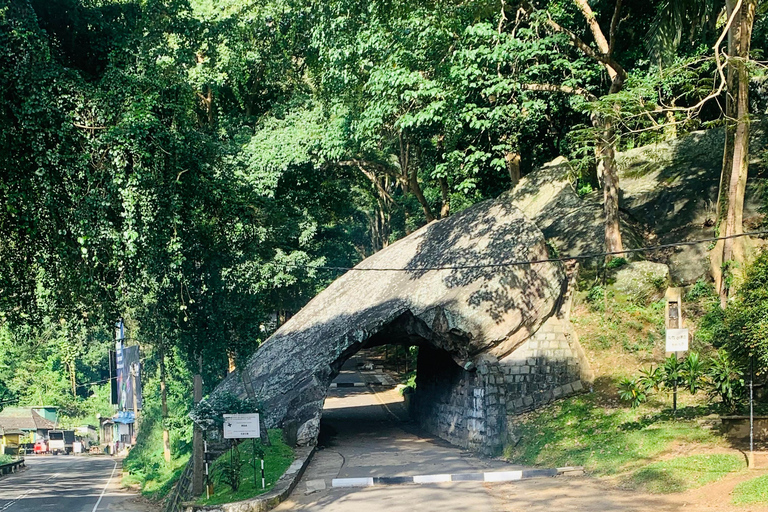 Mehrtägige Rundreise in Sri LankaMehrtägige Touren und Tagestouren