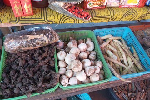 Tour particular no Mercado de Belén, Cidade Flutuante e Rio Amazonas