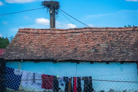 Saxon Villages Tour: Viscri, Rupea Fortress, Criț & Saschiz