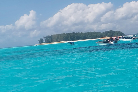 桑给巴尔：姆内姆巴岛浮潜和海豚之旅私人：姆内姆巴岛浮潜和海豚