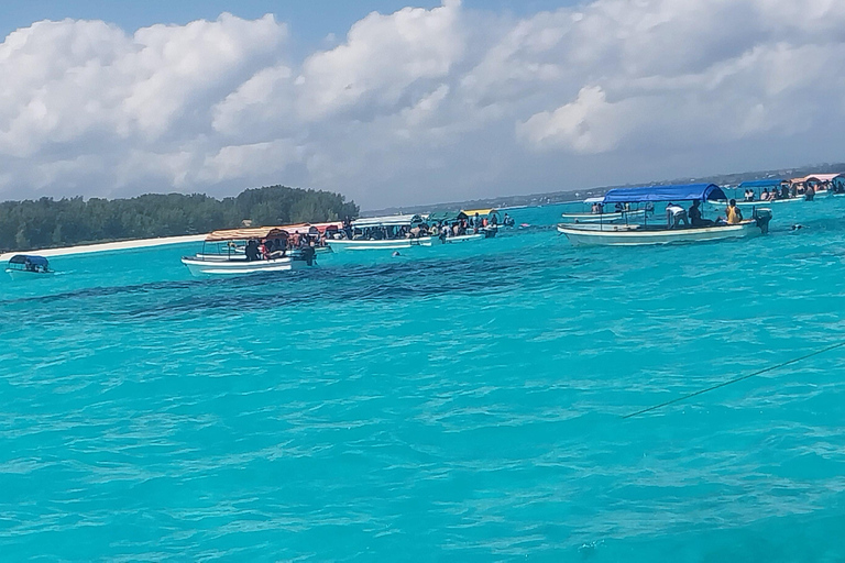 桑给巴尔：姆内姆巴岛浮潜和海豚之旅私人：姆内姆巴岛浮潜和海豚