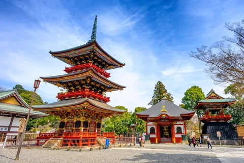 Tokyo: Narita & Sawara Day Tour with Airport Shuttle Option