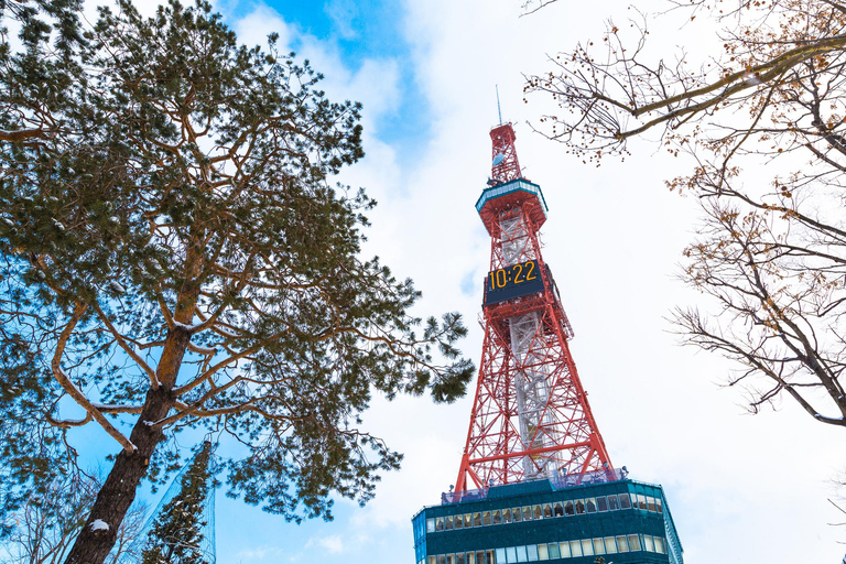 Lo mejor de Sapporo: Tour de Arte, Naturaleza y Arquitectura