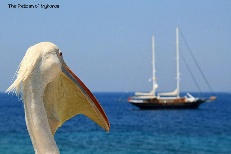 Athene: Eilandhoppen naar Santorini, Naxos en Mykonos