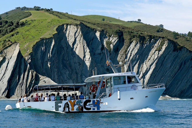 Basque Coast: Flysch Boat Tour or Walking Tour