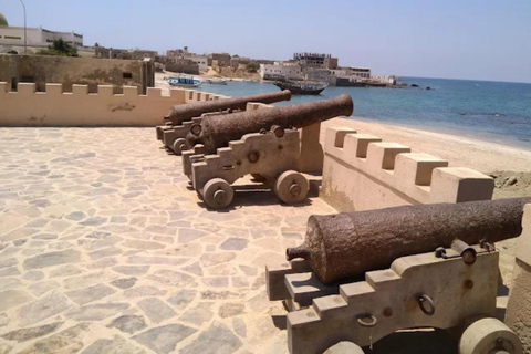Salalah Historical Tour: Castles, Ancient Ruins & Heritage
