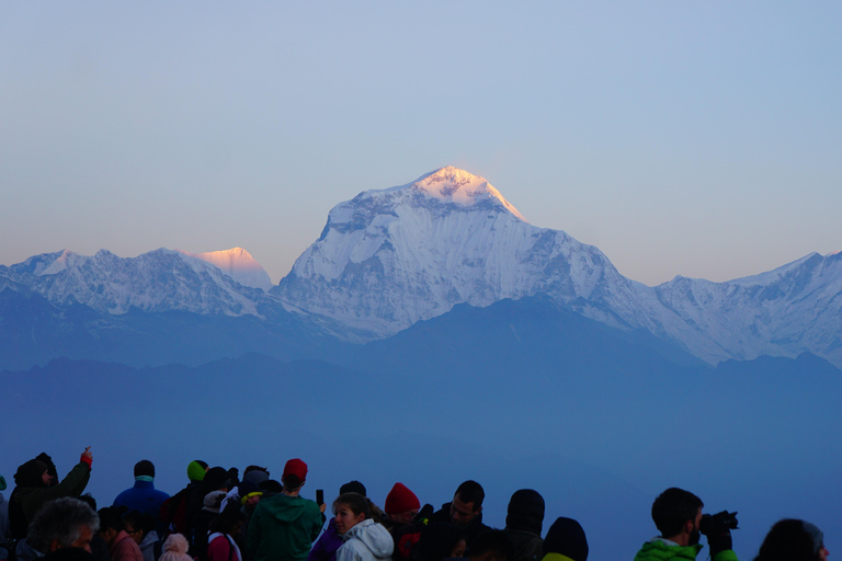 Annapurna: 8 Day Guided easy Trek at Annapurna