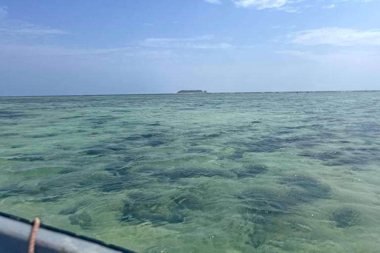 ZANZIBAR: SWIMMING WITH DOLPHIN AND SNORKELING