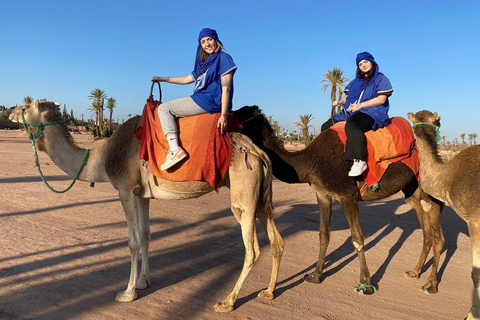 Paseo en camello por la Palmeraie de Marrakech