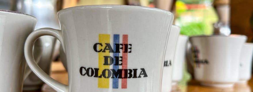Coffee Tour Salento-Ocaso Farm - Tour em inglês