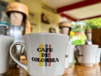 Salento coffee farm tour at Finca El Ocaso (English)