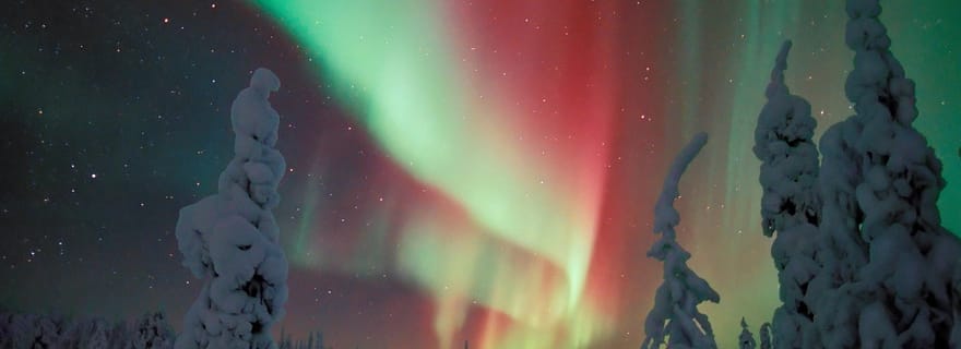 Randonnée en raquettes de la nuit polaire