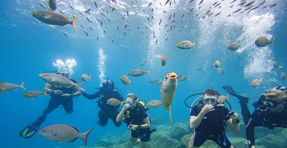 Tenerife: Beginner Scuba Dive Experience